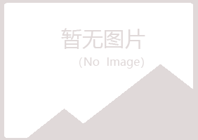 和静县山柏水泥有限公司